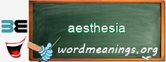 WordMeaning blackboard for aesthesia